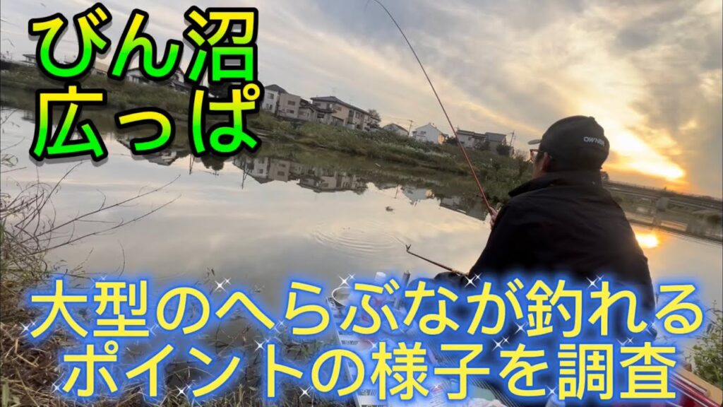 大型のへらぶなが狙える激浅のびん沼広っぱの調子はいかに？