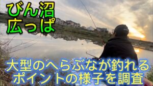 大型のへらぶなが狙える激浅のびん沼広っぱの調子はいかに？