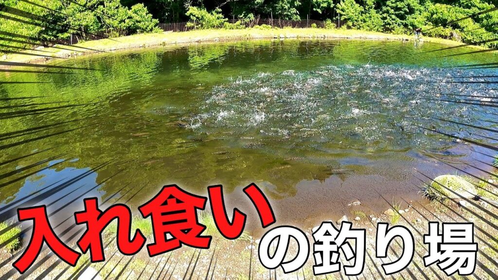 【大物に効くのはこれ？】意外なルアーで大物を連発する！イワナセンター釣行【エリアトラウト　管理釣り場】