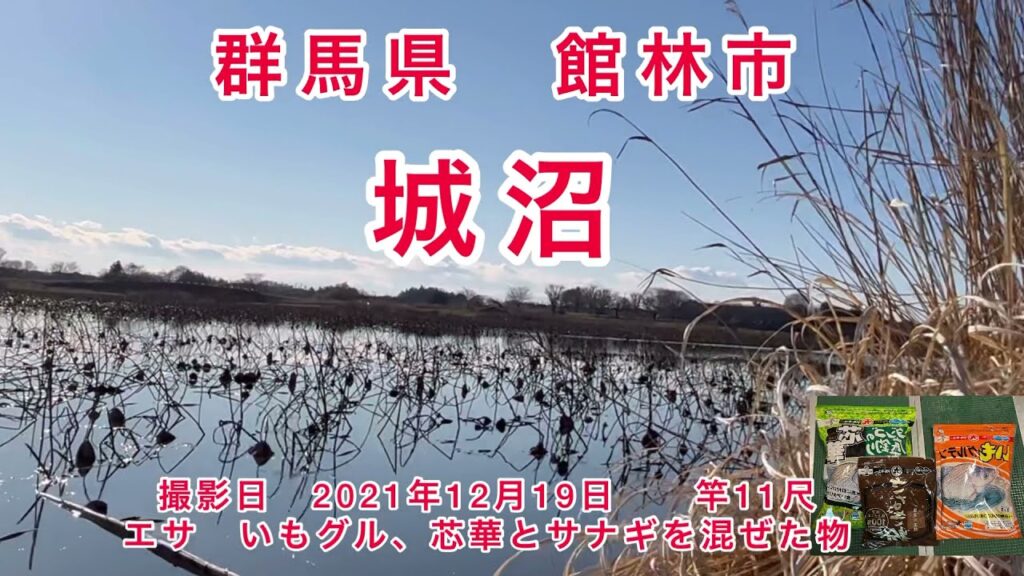 群馬県館林市　城沼　冬の寒中野釣り　〜尺ベラをねらえ〜