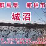 群馬県館林市　城沼　冬の寒中野釣り　〜尺ベラをねらえ〜