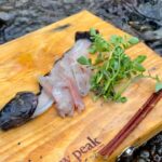 川魚を生で食べてみた【渓流釣り】
