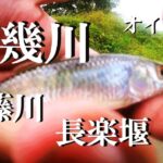 【都幾川、安藤川、長楽堰、ルアー釣り、餌釣り（ブラクリ）】【利根川＆荒川水系、バス、コイ、雷魚、ナマズ、フナ、クチボソ、餌釣り、フィシング、魚、埼玉、東松山市、下押垂エリア】