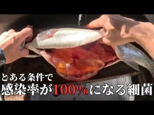 【衝撃的】管理釣り場のトラウトがとある条件によって即感染してしまう細菌について#釣り #管理釣り場 #感染症