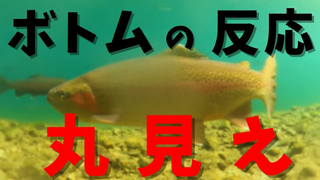 管理釣り場 水中映像！バイトが丸見え！