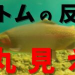 管理釣り場 水中映像！バイトが丸見え！