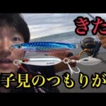 浜名湖と遠州灘サーフで様子見がてらルアー釣りしたら…