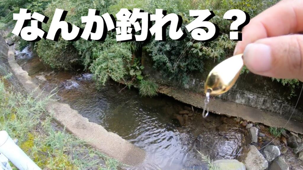 小さい川でスプーン投げてみたら…#渓流#小川#ルアー釣り