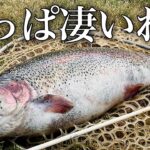 極上極太の赤身が釣れると噂のエリアに初挑戦した結果...【エリアトラウト】【管理釣り場】【五頭フィッシングパーク】
