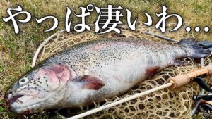 極上極太の赤身が釣れると噂のエリアに初挑戦した結果...【エリアトラウト】【管理釣り場】【五頭フィッシングパーク】