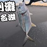 【遠州灘＆浜名湖】暗い時間にガンガンあたってくる魚の正体をつきとめたい・・・