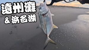 【遠州灘＆浜名湖】暗い時間にガンガンあたってくる魚の正体をつきとめたい・・・