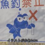 【砂沼広域公園】釣り出来る！？釣り人視点で歩いてきました