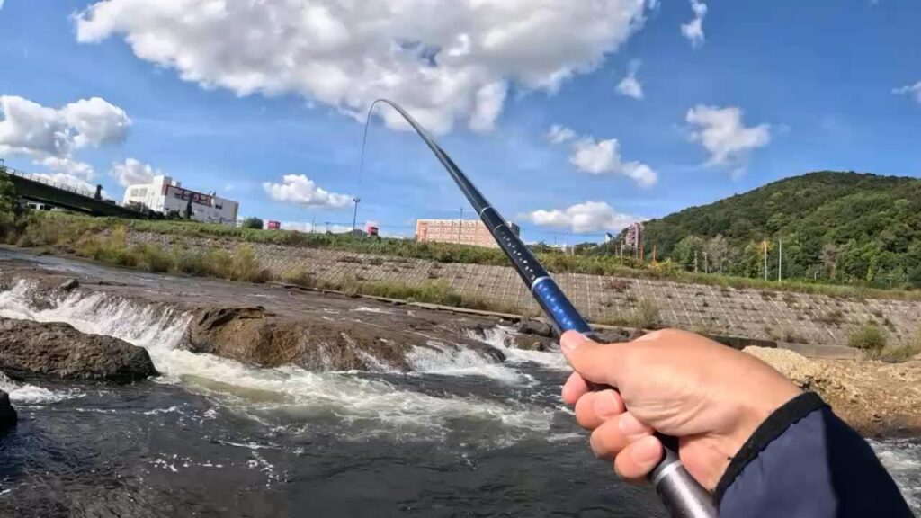 豊平川 五輪大橋付近で釣りした結果…