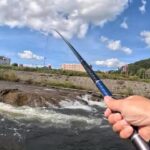 豊平川 五輪大橋付近で釣りした結果…