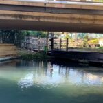 石神井川の無料釣り場に挑戦！