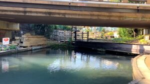 石神井川の無料釣り場に挑戦！