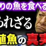 ※要注意※ 管理釣り場の魚を持ち帰っておいしく食べることについて徹底解説／＃刺身＃塩焼き＃カルパッチョ（高画質化）【村田基 切り抜き】