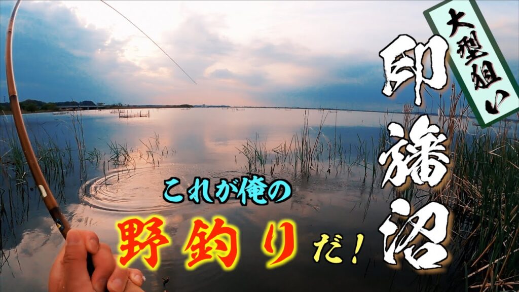 東京から１時間 巨ベラが狙える沼で３０日間釣りしてみた！ 【印旛沼 牛久沼 小貝川 乗っ込みへらぶな釣り】