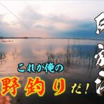 東京から１時間 巨ベラが狙える沼で３０日間釣りしてみた！ 【印旛沼 牛久沼 小貝川 乗っ込みへらぶな釣り】