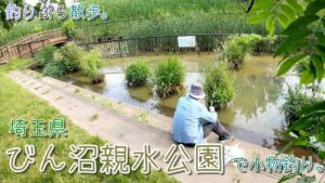 【小物釣り】繊細な釣り!埼玉のびん沼 親水公園でタナゴ釣り。【淡水】