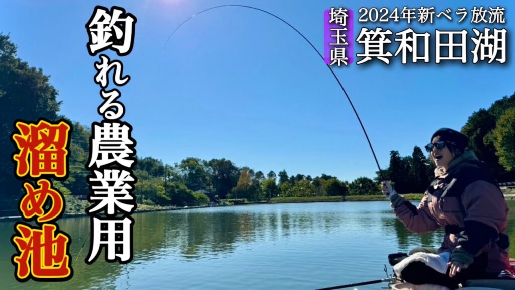 山林にある溜め池に新ベラが放流されたのでチョーチンウドンセットで釣りまくる！【箕和田湖】