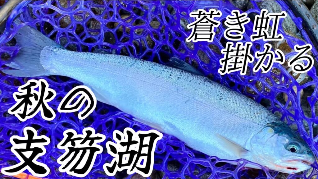 【支笏湖釣り】秋の支笏湖に蒼き虹掛かる