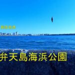 南浜名湖の釣り　たくさん魚釣れました