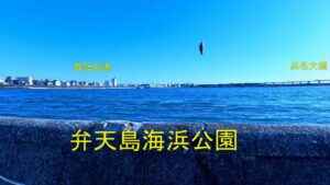 南浜名湖の釣り　たくさん魚釣れました