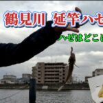 【鯵まるチャンネル】鶴見川延竿ハゼ釣り‼️  ハゼを探して散歩ハゼ釣り‼️ハゼはどこにいる？