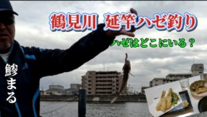【鯵まるチャンネル】鶴見川延竿ハゼ釣り‼️ ハゼを探して散歩ハゼ釣り‼️ハゼはどこにいる?