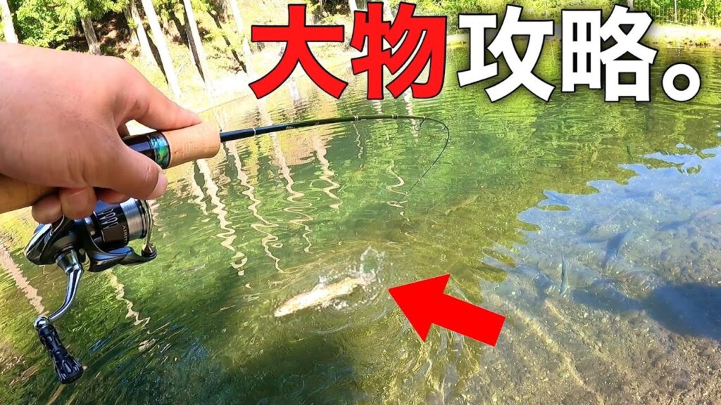 【大物連発】デカマスだらけの池をいろんな釣り方で攻略する動画【エリアトラウト 管理釣り場 イワナセンター】