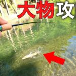 【大物連発】デカマスだらけの池をいろんな釣り方で攻略する動画【エリアトラウト 管理釣り場 イワナセンター】