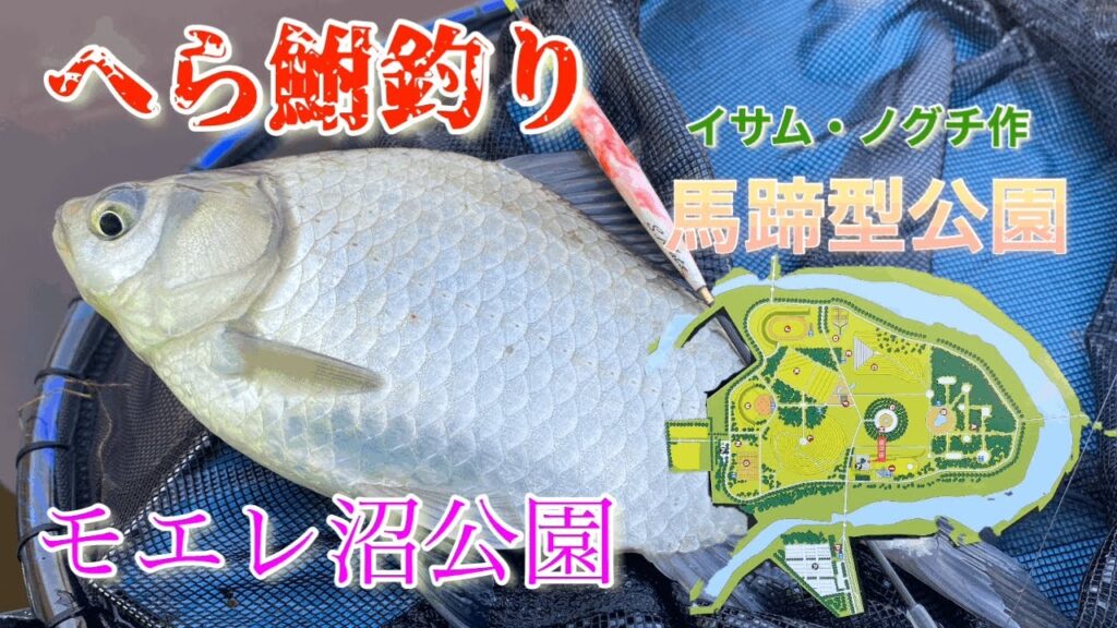 モエレ沼公園、美しい公園内でヘラ鮒釣りを楽しむ❗️