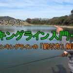 エリアフライ【シンキングラインの釣りデビュー！】　前編・「シンキングラインの釣り方解説」