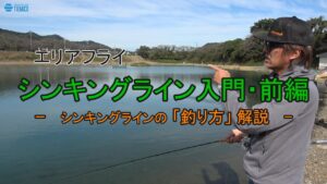 エリアフライ【シンキングラインの釣りデビュー！】　前編・「シンキングラインの釣り方解説」