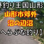 山形市郊外の野池「沼の辺沼」でへらぶな釣り