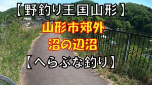 山形市郊外の野池「沼の辺沼」でへらぶな釣り