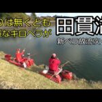 『田貫湖』ハイテンポな私とスローなヤマメ嬢　ドタバタ劇どうぞご覧ください