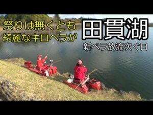 『田貫湖』ハイテンポな私とスローなヤマメ嬢　ドタバタ劇どうぞご覧ください