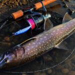 数年ぶりにスピニングで川釣り