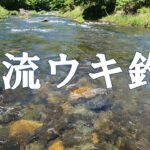 【渓流ウキ釣り】ヤマメ釣り