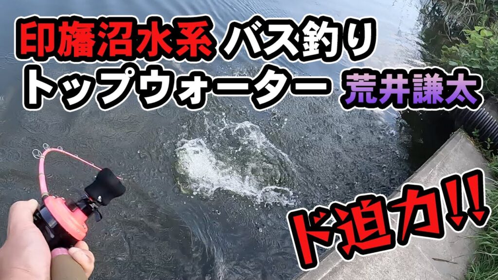 印旛沼バス釣り トップウォーター