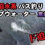 印旛沼バス釣り トップウォーター