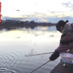 管理釣り場が廃業して野池化したのでヘラブナが釣れるのか検証してみた
