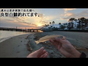 浜名湖落ちキス狙い良型がファミリーさんで楽しく釣行出来る釣りポイント🐟【浜名湖釣り】🎣