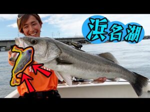 浜名湖ボート釣りでシーバス釣りたいならこれを1つもって行って!【ヒイラギパターン】