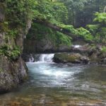 【渓流釣り】人が立ち寄らない川は凄かった