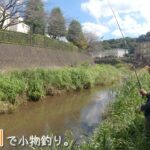 遊園地の近くの川で釣りします♪  稲城市 三沢川で小物釣り。