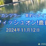 フライカンツラー　管釣りダイアリー（鹿留パインレイク）